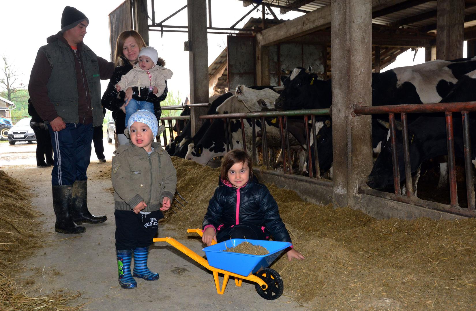 Na farmi muznih krava angažirani su svi iz obitelji – od najmanjih do najvećih