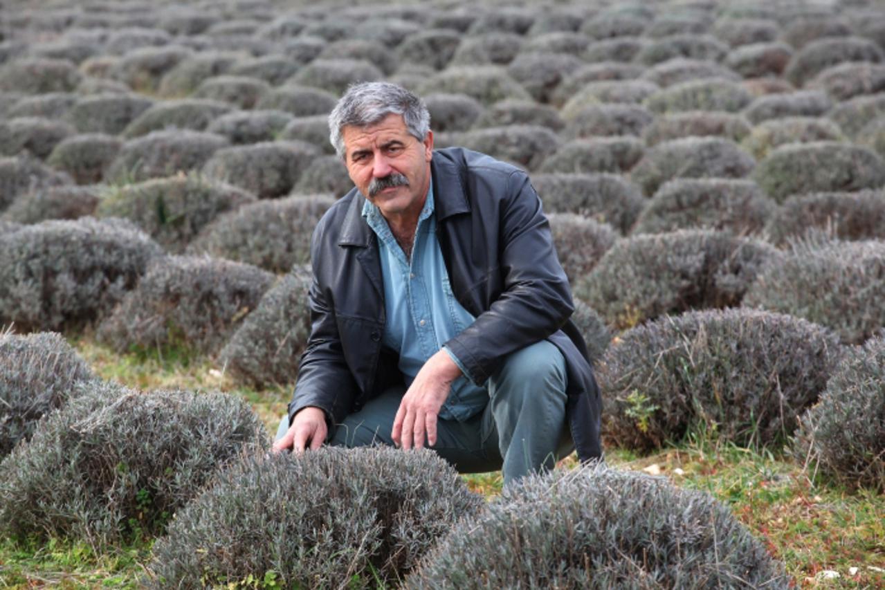Upoznajte Gorana Pavića - trgovac koji je postao poljoprivrednik