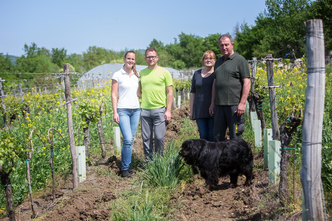 Obiteljsko poljoprivredno gospodarstvo Arman bavi se vinarstvom