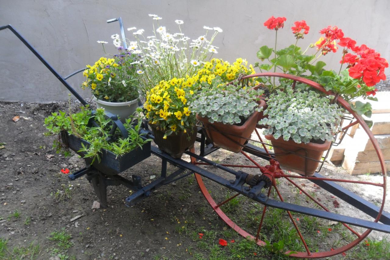 Čarolija u vrtu u Rudama, cvjetovi krase bačve, boce i pletene stolice